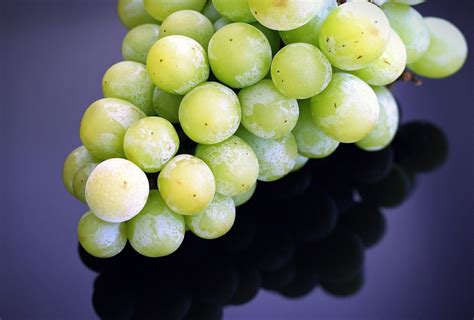 what wines are similar to riesling